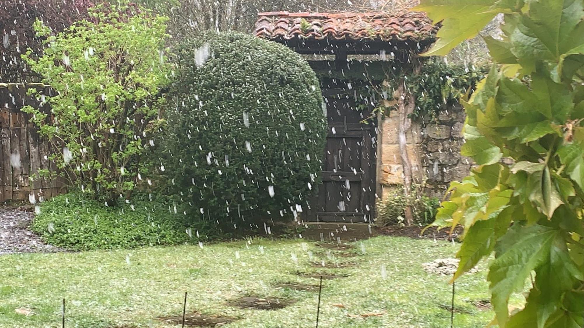 Remanso Del Rio Saja Villa Renedo De Cabuerniga Eksteriør billede